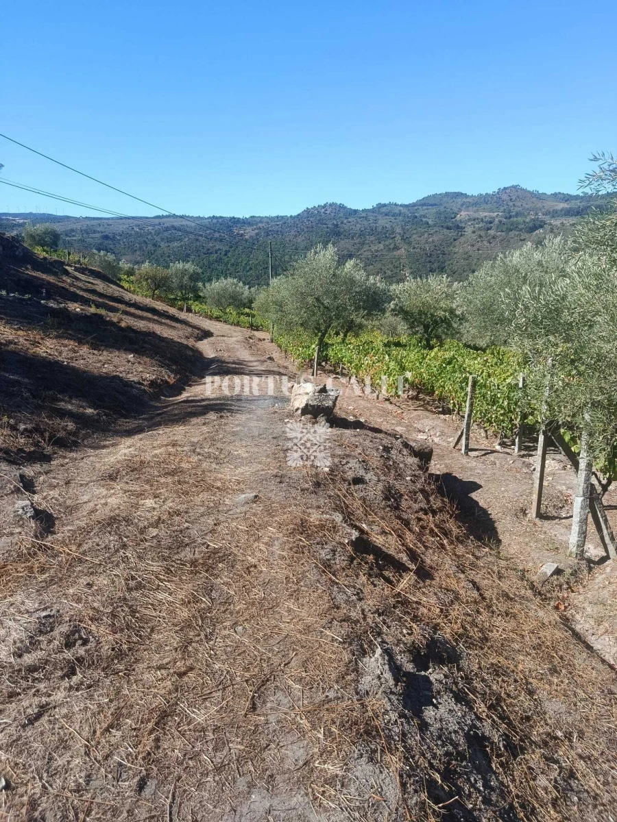 Terreno para Venda em Paradinha e Nagosa Foto 7
