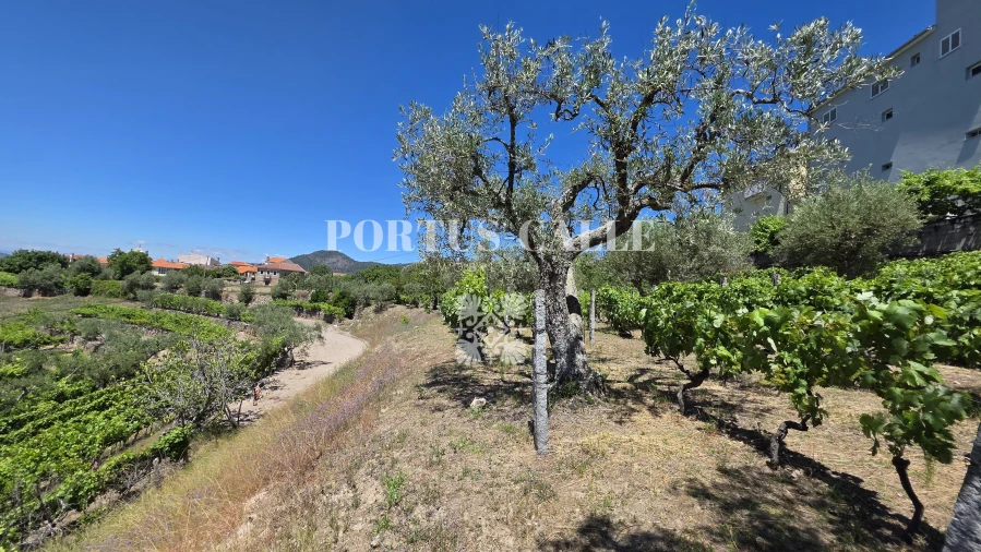 Terreno para Venda em Paradinha e Nagosa Foto 10