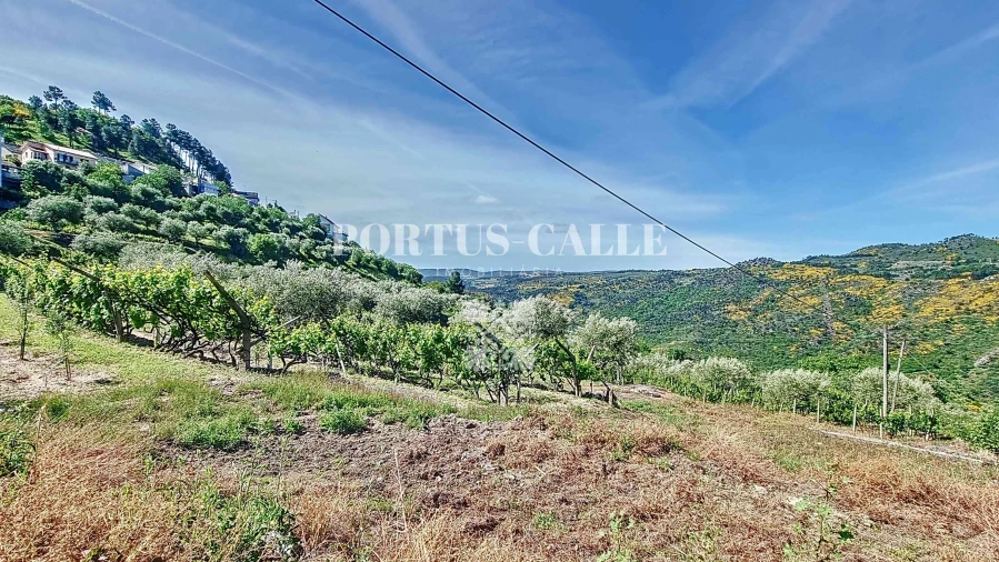 Terreno para Venda em Paradinha e Nagosa Foto 20