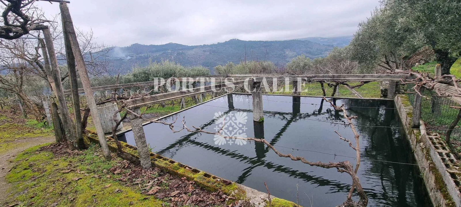 Terreno para Venda em Paradinha e Nagosa Foto 1