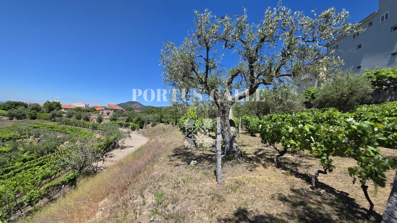 Terreno para Venda em Paradinha e Nagosa Foto 10
