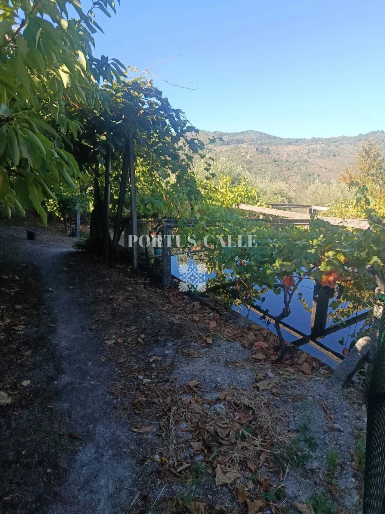 Terreno para Venda em Paradinha e Nagosa Foto 4