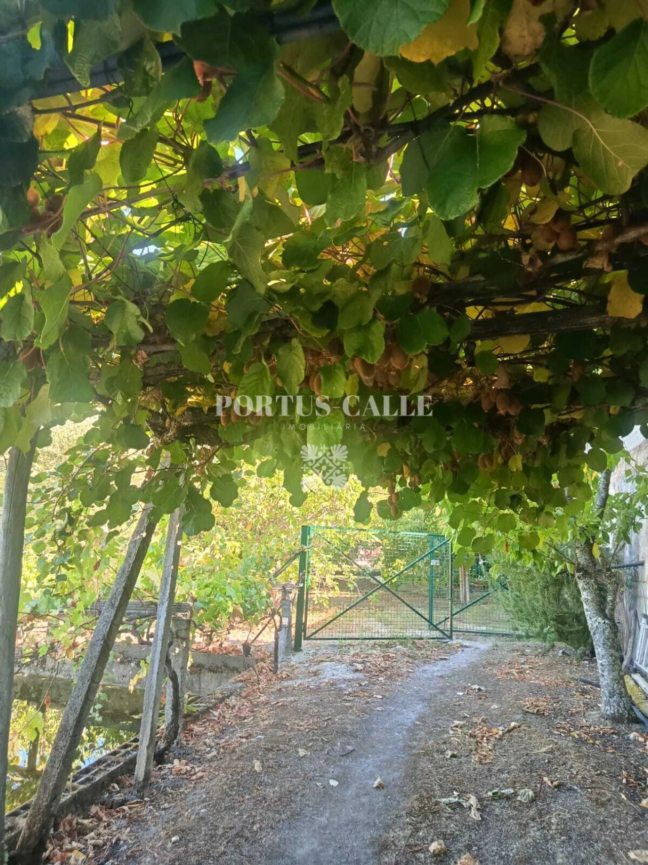 Terreno para Venda em Paradinha e Nagosa Foto 15