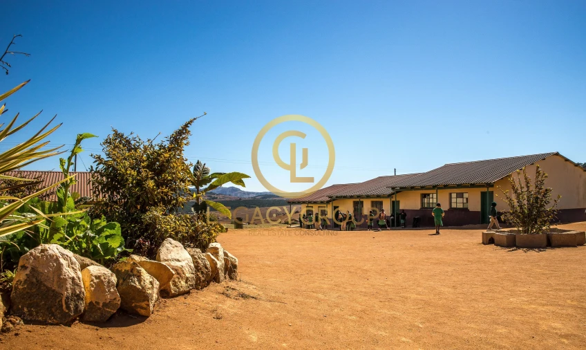 Quinta T2 para Venda em Guia Foto 14