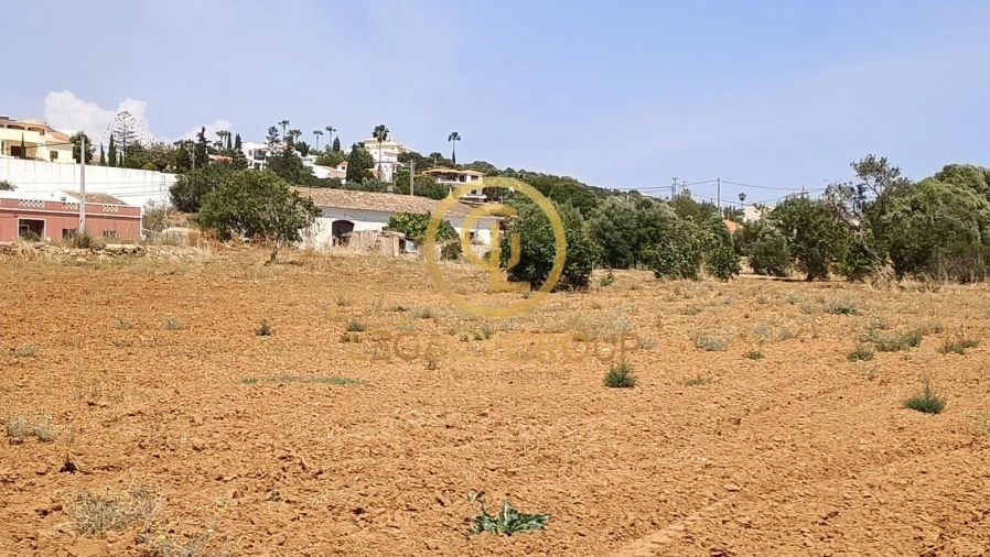 Quinta T2 para Venda em Guia Foto 7