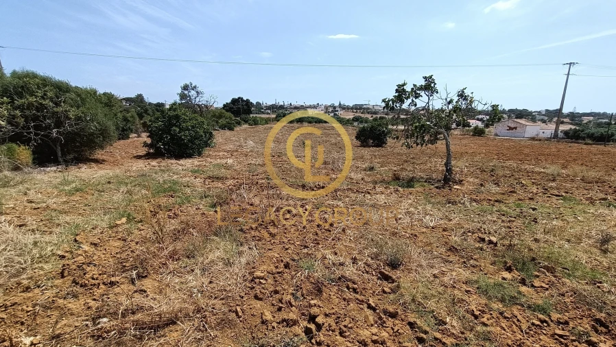 Quinta T2 para Venda em Guia Foto 19