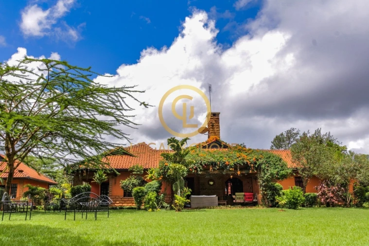 Quinta T2 para Venda em Guia Foto 13