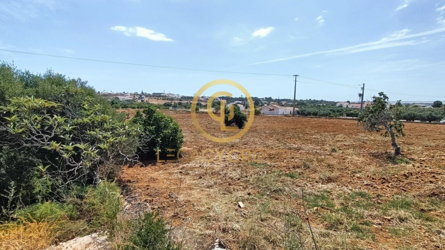 Quinta T2 para Venda em Guia Foto 9