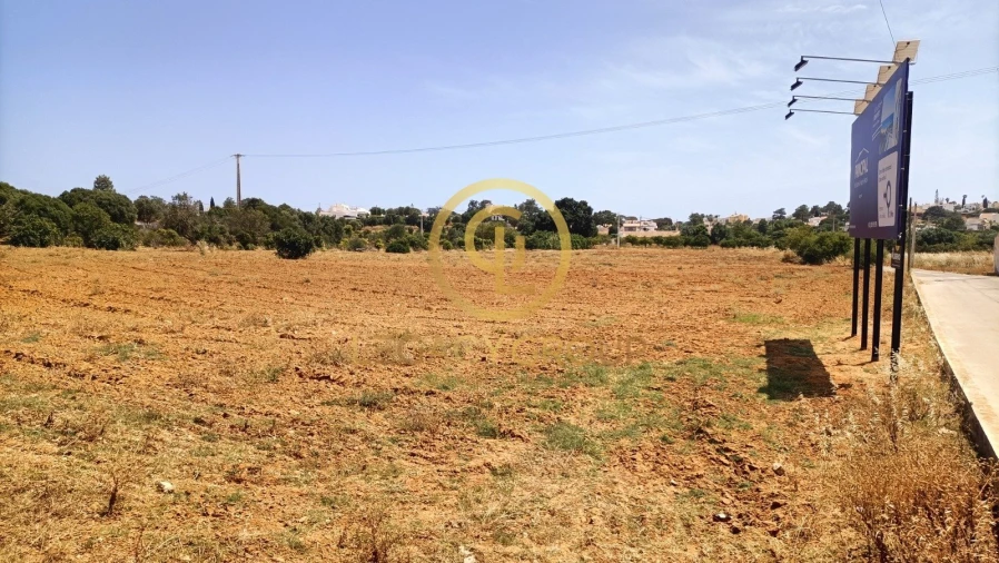 Quinta T2 para Venda em Guia Foto 4