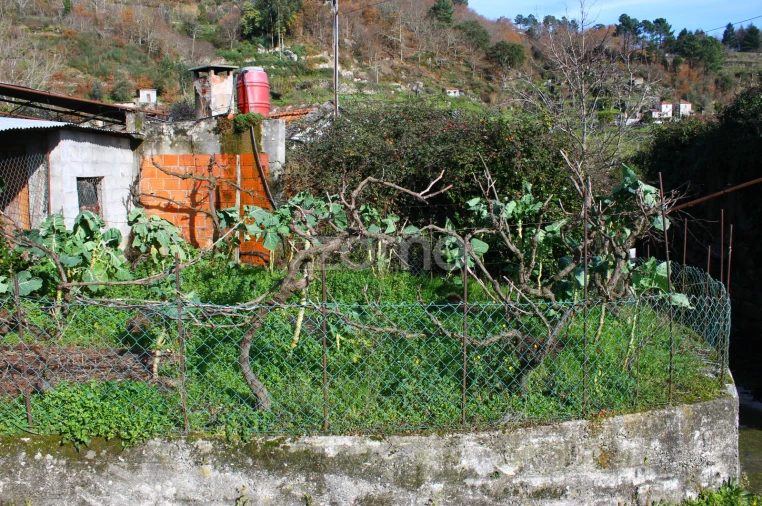 Moradia T2 para Venda em Santa Cruz do Douro e São Tomé de Covelas Foto 32