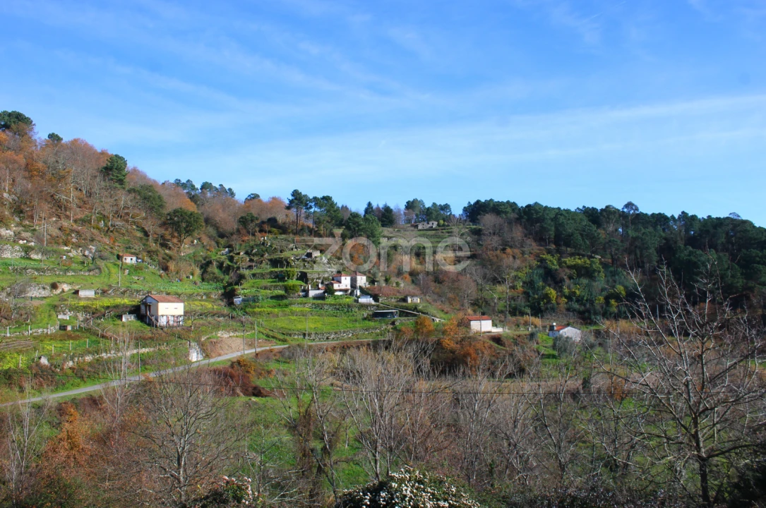 Moradia T2 para Venda em Santa Cruz do Douro e São Tomé de Covelas Foto 37