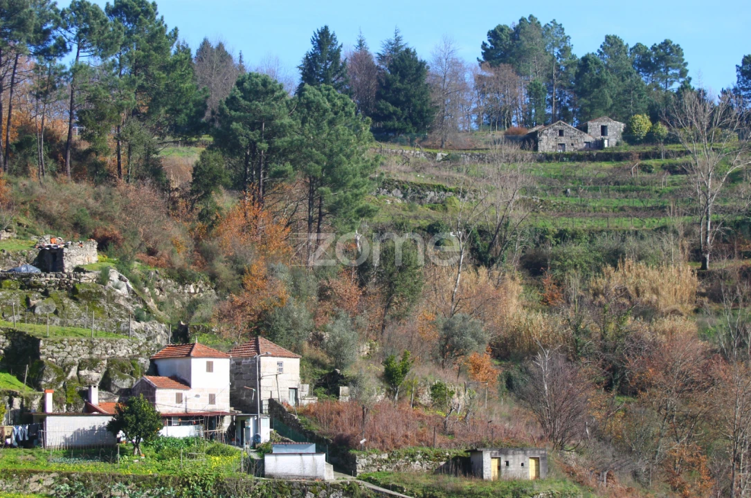 Moradia T2 para Venda em Santa Cruz do Douro e São Tomé de Covelas Foto 36