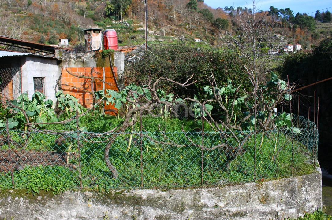 Moradia T2 para Venda em Santa Cruz do Douro e São Tomé de Covelas Foto 32