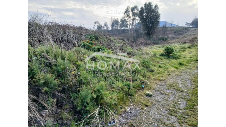 Terreno para Venda em Lustosa e Barrosas (Santo Estêvão) Foto 2