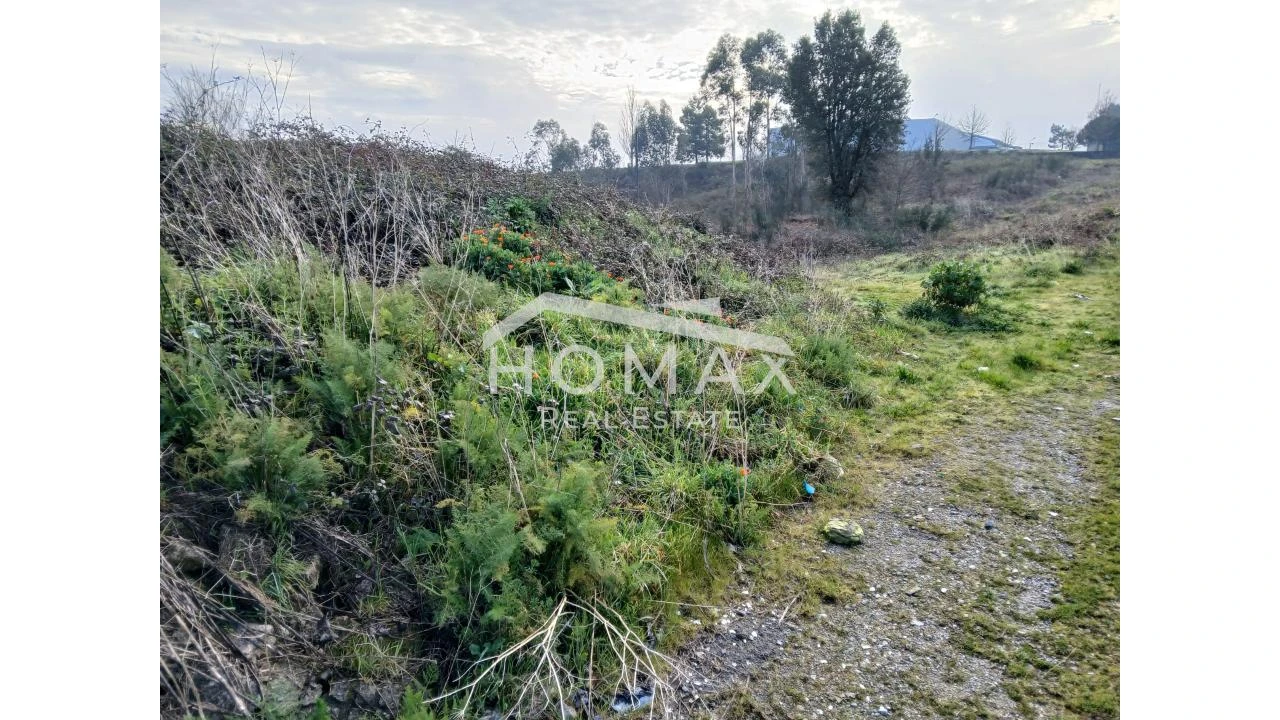 Terreno para Venda em Lustosa e Barrosas (Santo Estêvão) Foto 2