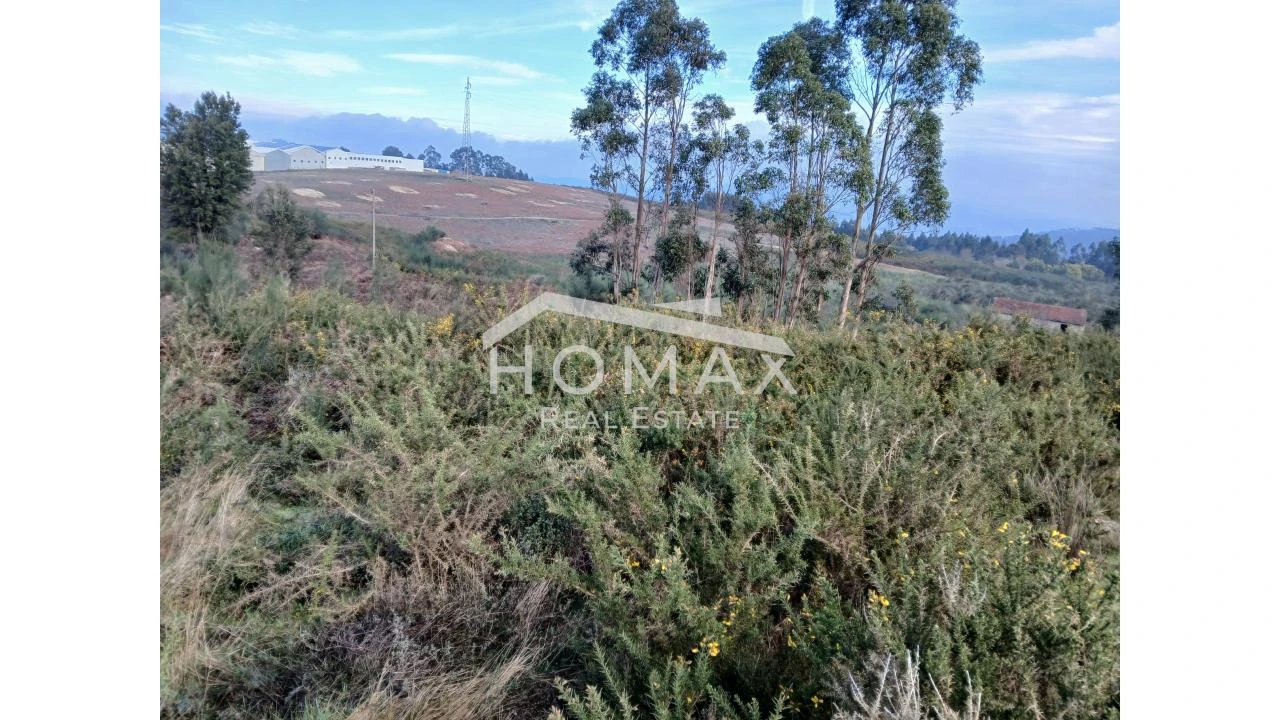 Terreno para Venda em Lustosa e Barrosas (Santo Estêvão) Foto 6