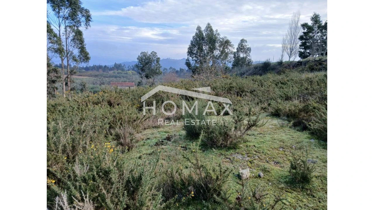 Terreno para Venda em Lustosa e Barrosas (Santo Estêvão) Foto 7