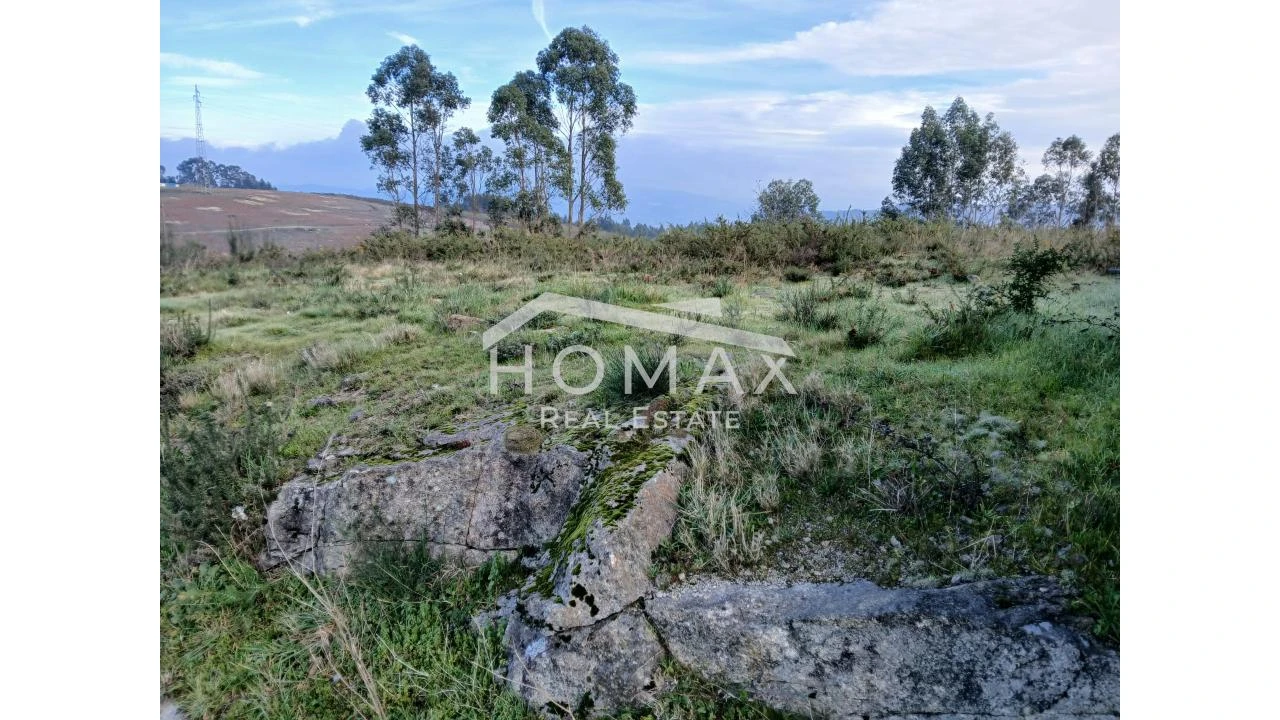 Terreno para Venda em Lustosa e Barrosas (Santo Estêvão) Foto 8
