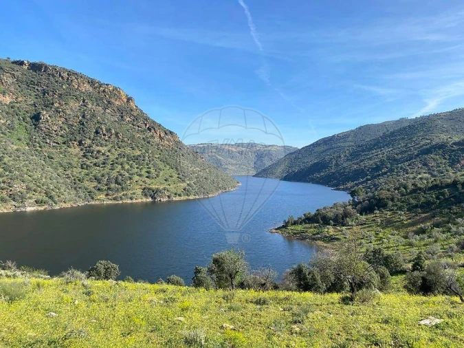 Armazém para Venda em Mogadouro, Valverde, Vale de Porco e Vilar de Rei Foto 38