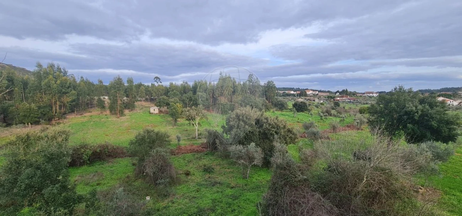 Moradia T5 para Venda em Mação, Penhascoso e Aboboreira Foto 22