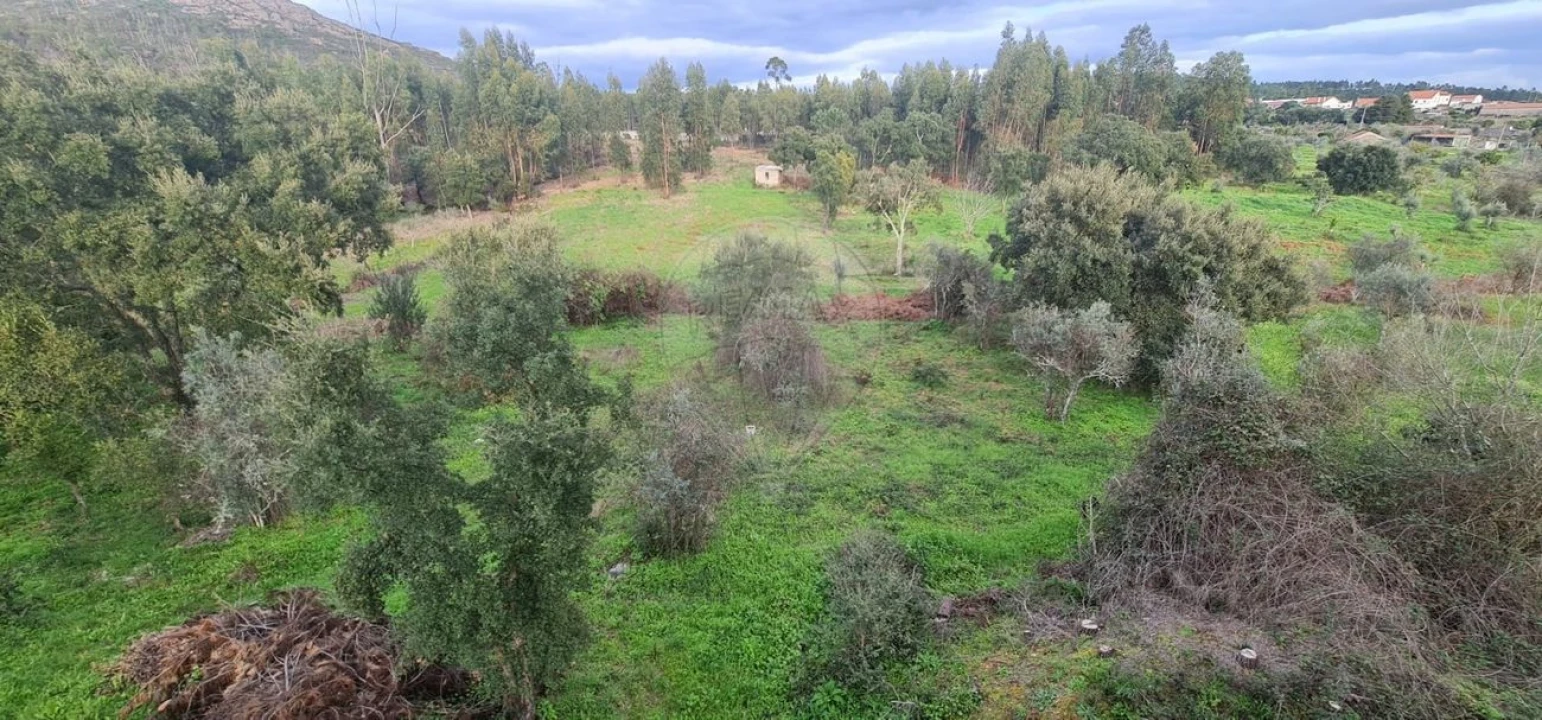 Moradia T5 para Venda em Mação, Penhascoso e Aboboreira Foto 21