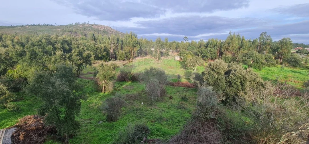 Moradia T5 para Venda em Mação, Penhascoso e Aboboreira Foto 23