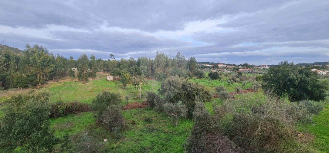 Moradia T5 para Venda em Mação, Penhascoso e Aboboreira Foto 22