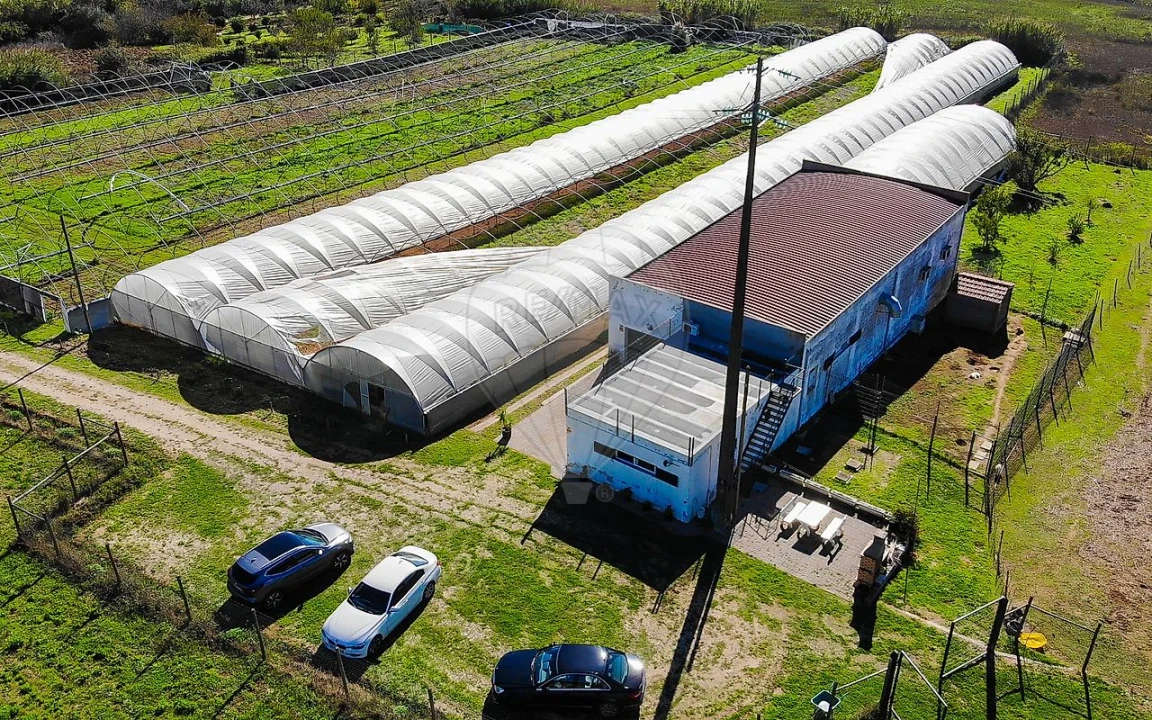 Quinta T0 para Venda em Aldeia Galega da Merceana e Aldeia Gavinha Foto 47