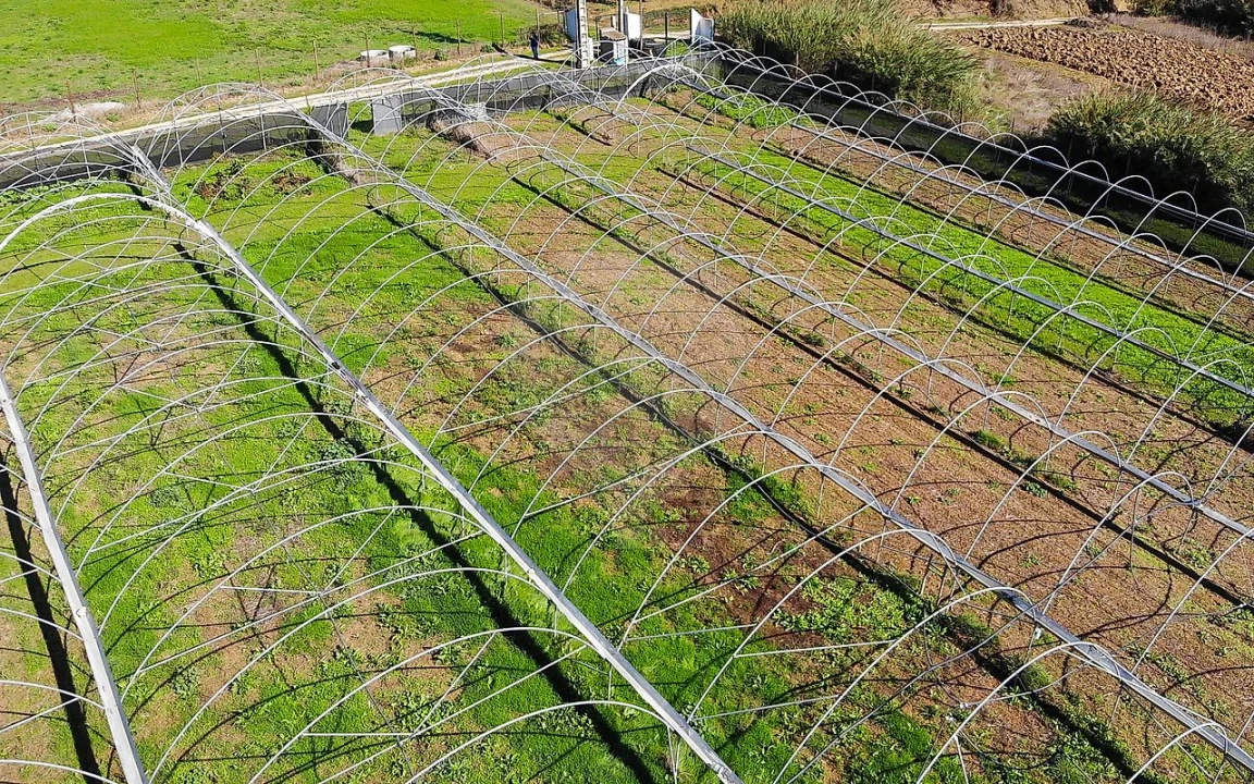 Quinta T0 para Venda em Aldeia Galega da Merceana e Aldeia Gavinha Foto 39