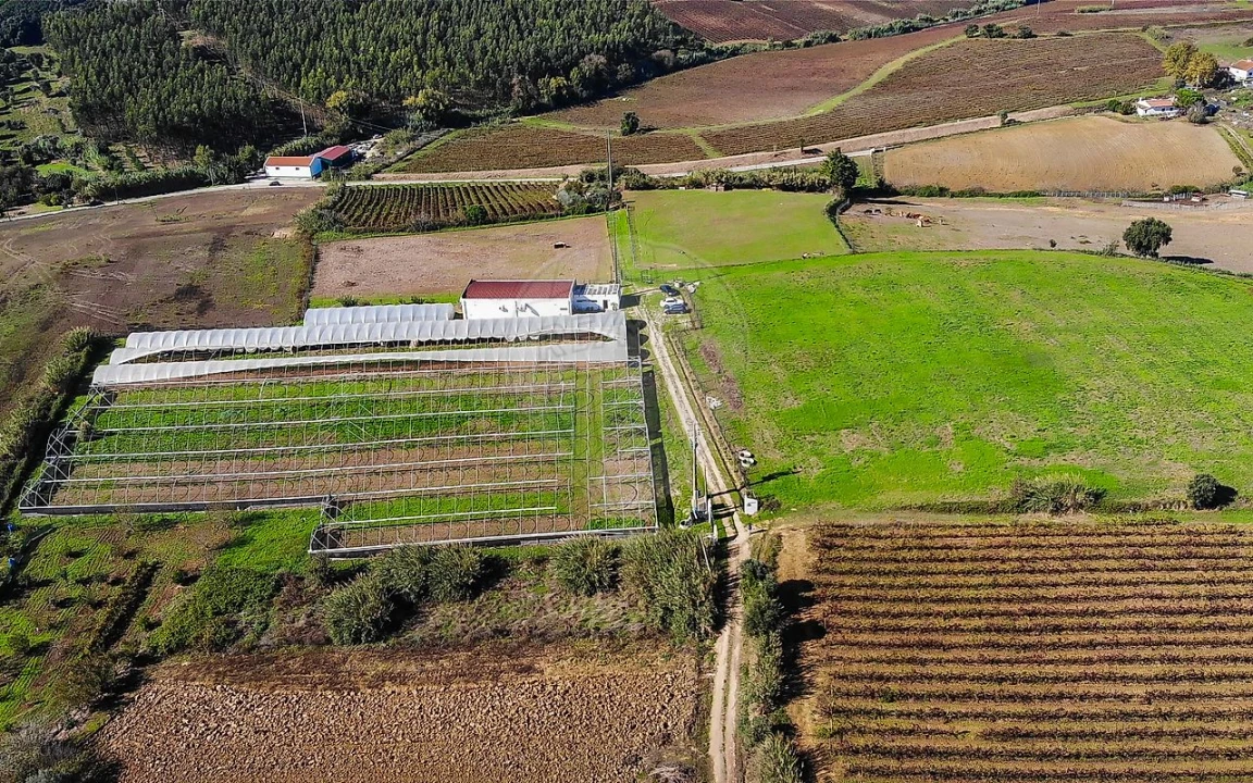 Quinta T0 para Venda em Aldeia Galega da Merceana e Aldeia Gavinha Foto 34