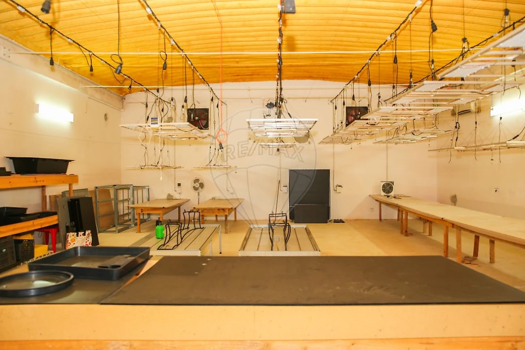 Quinta T0 para Venda em Aldeia Galega da Merceana e Aldeia Gavinha Foto 18