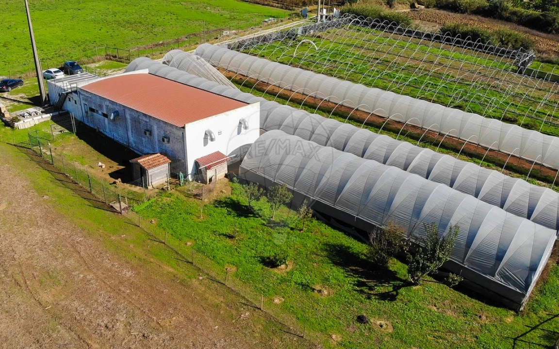 Quinta T0 para Venda em Aldeia Galega da Merceana e Aldeia Gavinha Foto 36