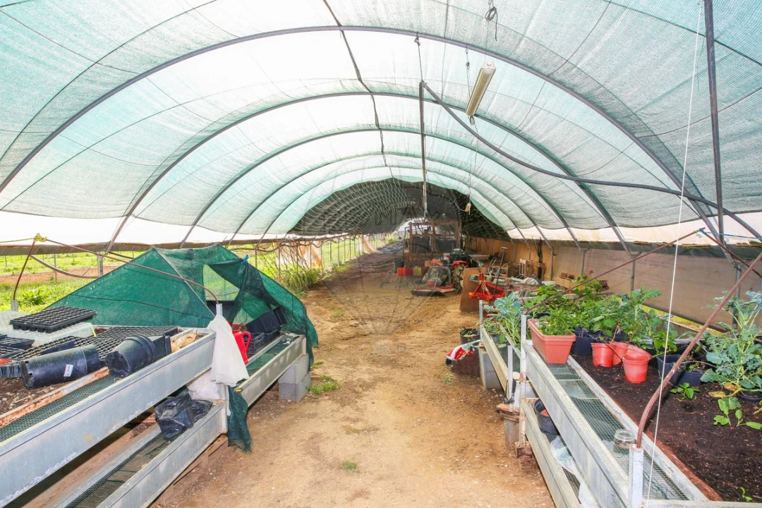 Quinta T0 para Venda em Aldeia Galega da Merceana e Aldeia Gavinha Foto 5