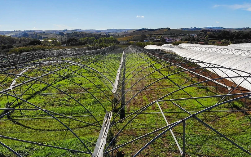 Quinta T0 para Venda em Aldeia Galega da Merceana e Aldeia Gavinha Foto 48