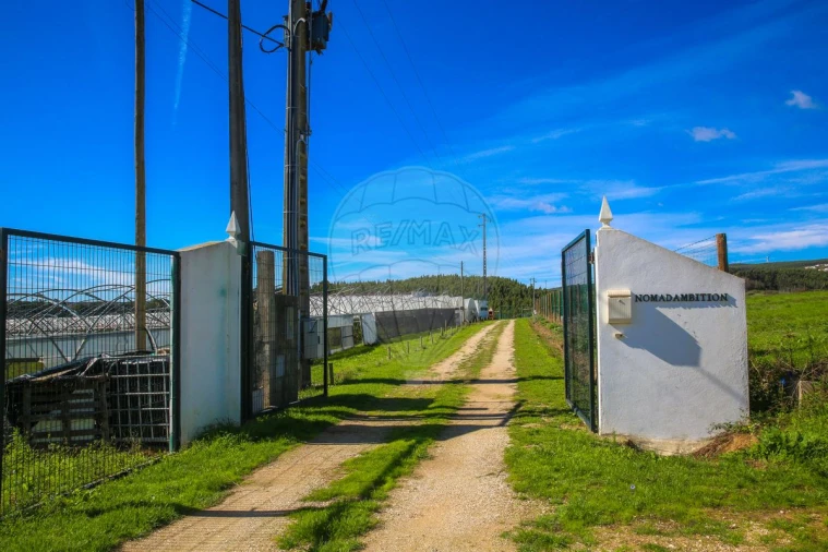 Quinta T0 para Venda em Aldeia Galega da Merceana e Aldeia Gavinha