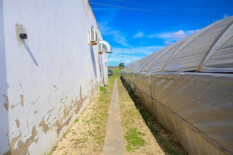 Quinta T0 para Venda em Aldeia Galega da Merceana e Aldeia Gavinha Foto 24