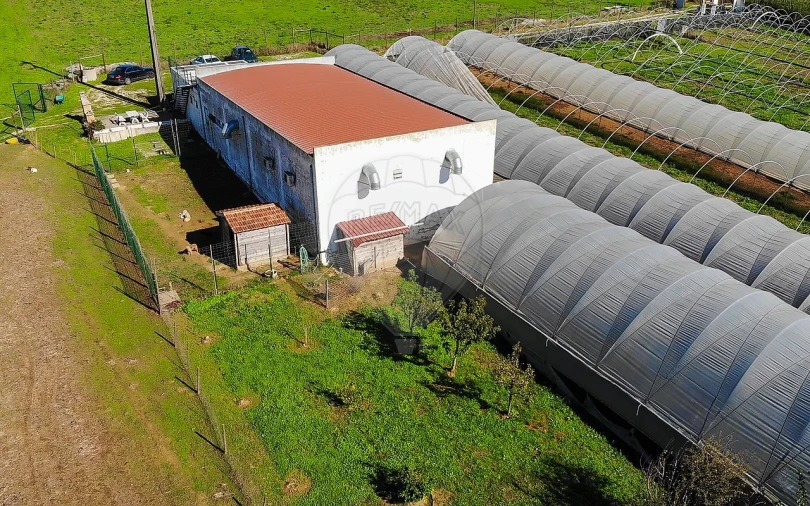 Quinta T0 para Venda em Aldeia Galega da Merceana e Aldeia Gavinha Foto 37