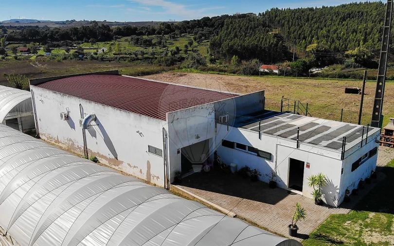 Quinta T0 para Venda em Aldeia Galega da Merceana e Aldeia Gavinha Foto 49