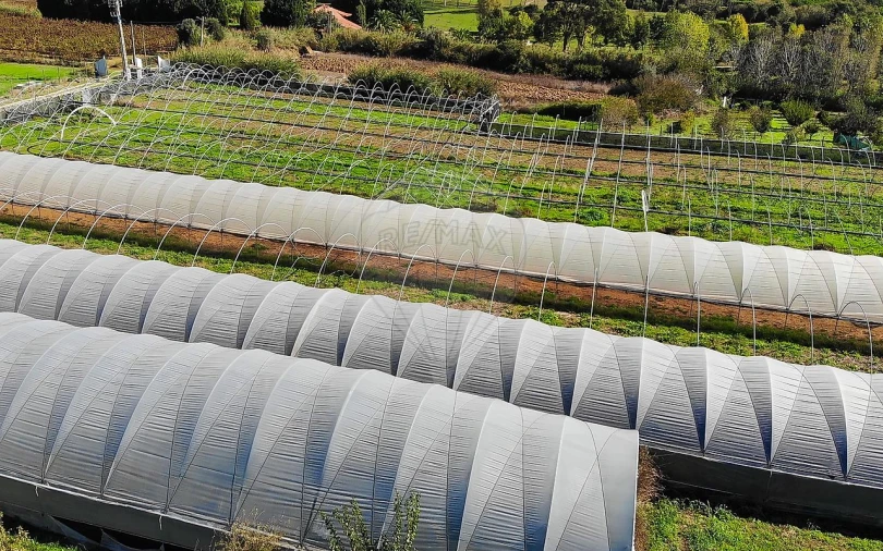 Quinta T0 para Venda em Aldeia Galega da Merceana e Aldeia Gavinha Foto 38