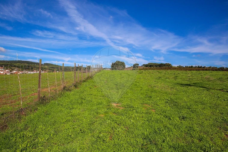 Quinta T0 para Venda em Aldeia Galega da Merceana e Aldeia Gavinha Foto 4