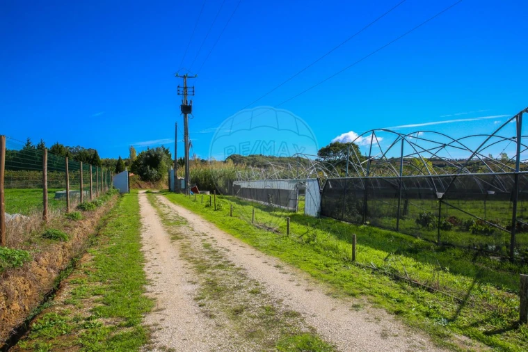 Quinta T0 para Venda em Aldeia Galega da Merceana e Aldeia Gavinha Foto 10