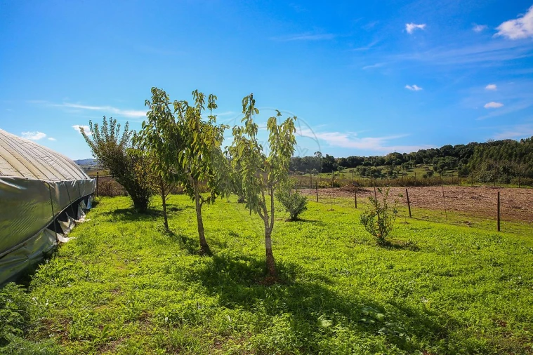 Quinta T0 para Venda em Aldeia Galega da Merceana e Aldeia Gavinha Foto 25