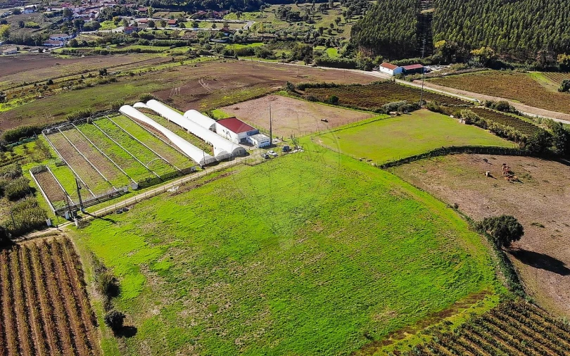 Quinta T0 para Venda em Aldeia Galega da Merceana e Aldeia Gavinha Foto 44