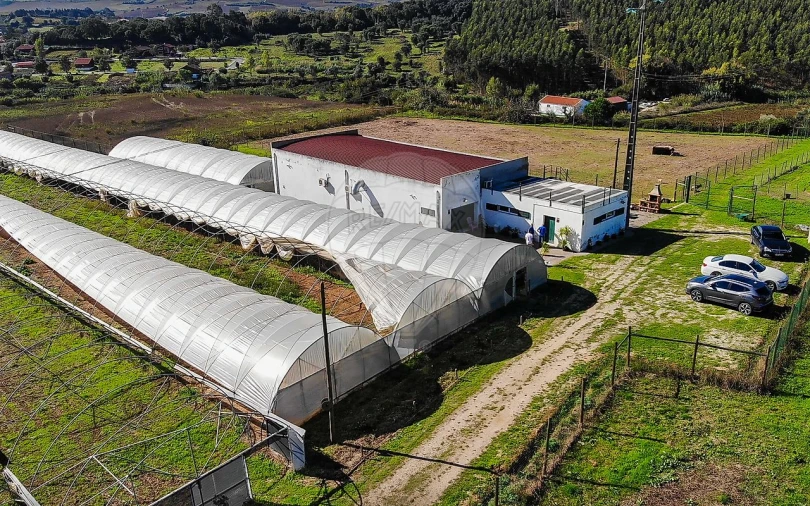 Quinta T0 para Venda em Aldeia Galega da Merceana e Aldeia Gavinha Foto 30