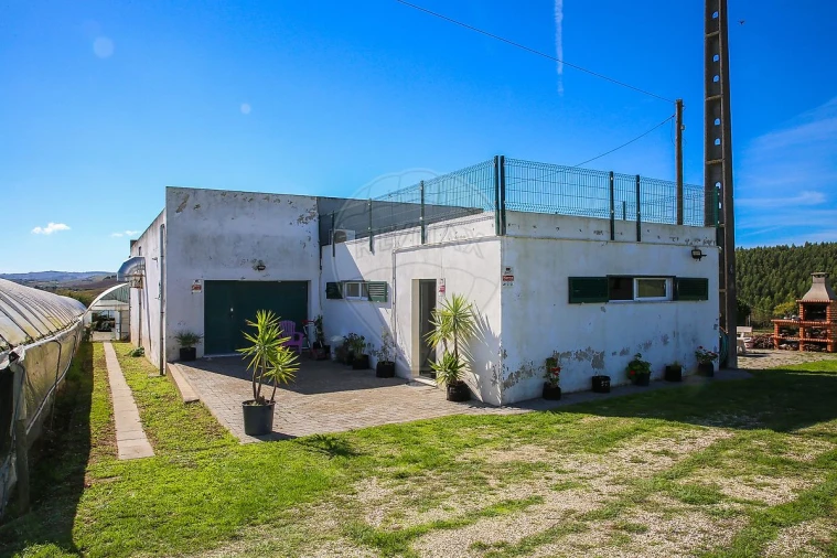 Quinta T0 para Venda em Aldeia Galega da Merceana e Aldeia Gavinha Foto 11