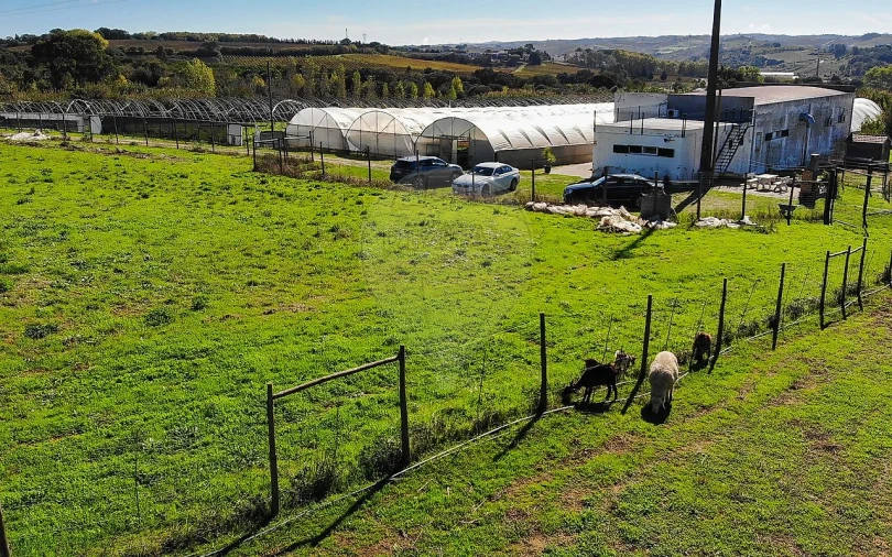 Quinta T0 para Venda em Aldeia Galega da Merceana e Aldeia Gavinha Foto 45