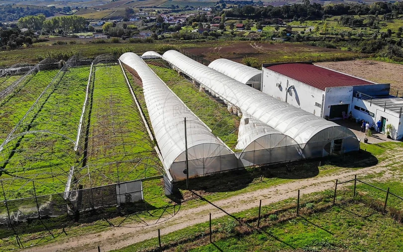 Quinta T0 para Venda em Aldeia Galega da Merceana e Aldeia Gavinha Foto 31