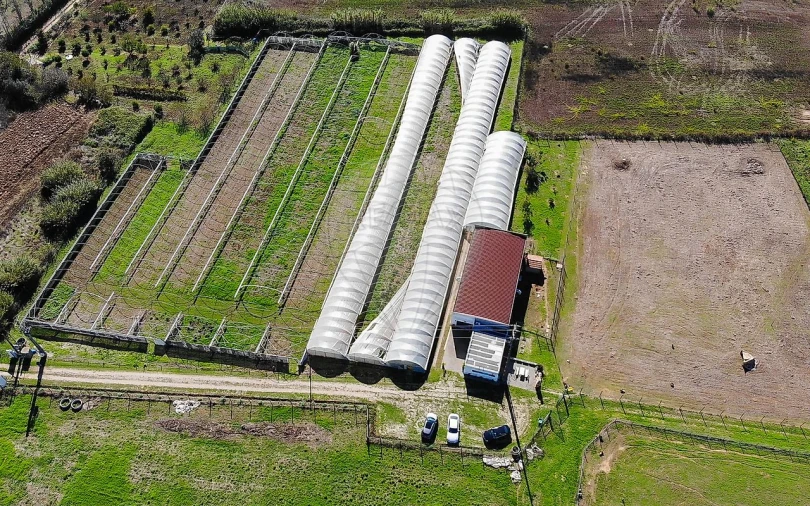 Quinta T0 para Venda em Aldeia Galega da Merceana e Aldeia Gavinha Foto 41