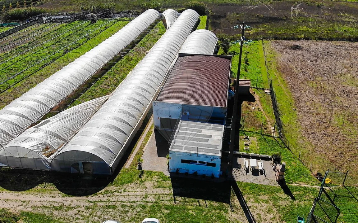 Quinta T0 para Venda em Aldeia Galega da Merceana e Aldeia Gavinha Foto 46