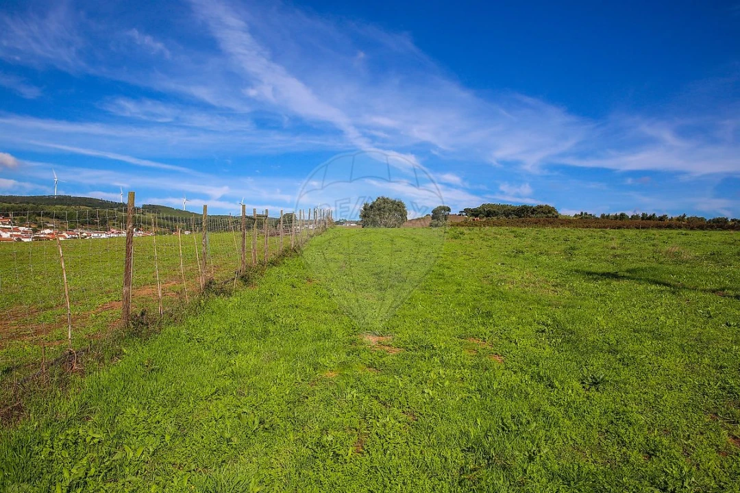 Quinta T0 para Venda em Aldeia Galega da Merceana e Aldeia Gavinha Foto 4